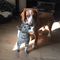 Profile Picture of Joe Sutton (@joe.sutton.7121) on Facebook