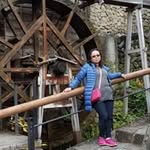 Profile Picture of 李鳳屏 (@li.fengping) on Instagram