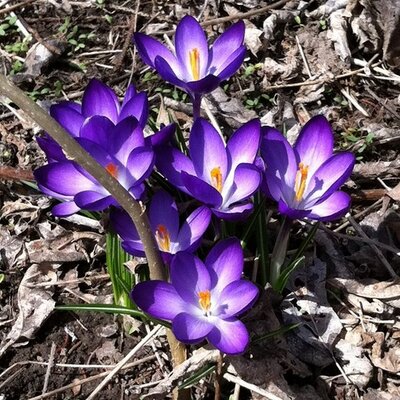 Brooke Burrell - Twitter Profile Picture of Brooke Burrell (@@Burrell_B) on Twitter