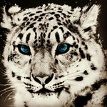 Profile Picture of Brianna Marie Roach (@briannamarieroa) on Instagram