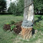 Profile Picture of Arlton Tarvin (@arlton.tarv) on Instagram