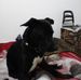 Profile Picture of Dawn Garner (@dawn.garner.1671) on Facebook