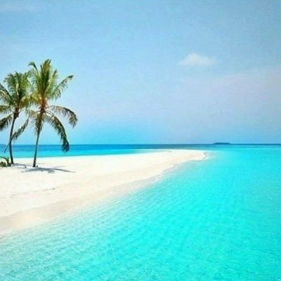 Profile Picture of Brian Clarke (@BrianDietrichC) on Twitter