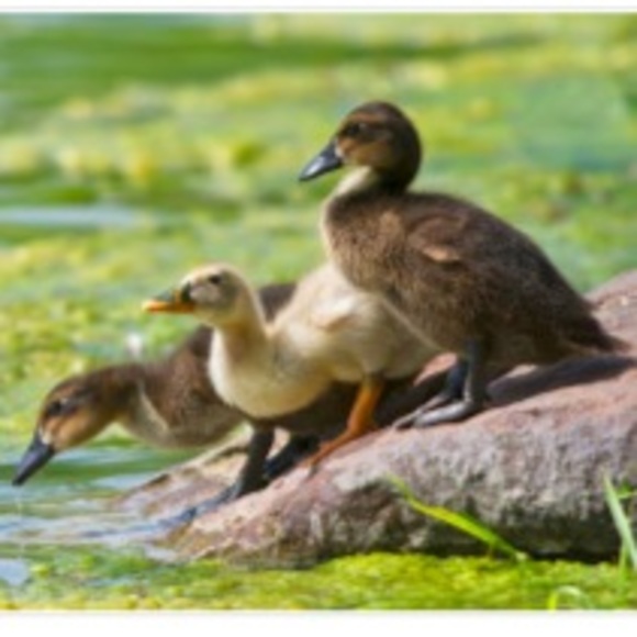 Profile Picture of Daniel Galko (@danielgalko2023) on Poshmark