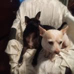 Profile Picture of Calvin Riggins Riggins (@calvin.riggins.riggins) on Facebook