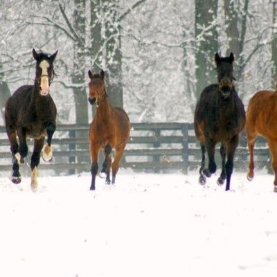 Profile Picture of PSueGOUK (@PSueGOUK) on Twitter