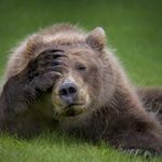 Joshua Huyck - Instagram Profile Picture of Joshua Huyck (@huyckjoshua) on Instagram