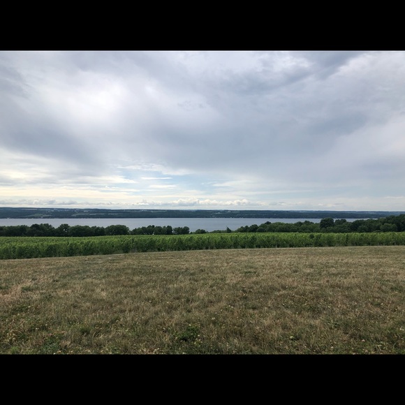 Profile Picture of Carolyn Paskoff (@car1189) on Poshmark