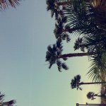 Profile Picture of Joseph Licavoli (@josephjames1495) on Instagram