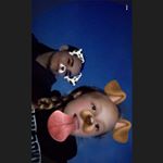 Profile Picture of Jacquelyn (@jacquelyn.thomson76) on Instagram