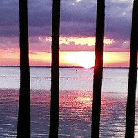 Profile Picture of Peggy Helms (@peggy-helms-2) on Quora