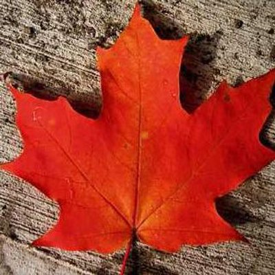 Profile Picture of Joe D. Lowell (@JoeDLowell) on Twitter