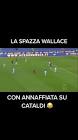 Strootman gol e annaffiata... - Tiktok Profile Picture of   Strootman gol e annaffiata... (@cesololasroma) on Tiktok