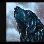 Profile Picture of Jessica Lauren McDaniel (@lone_wolf13071987) on Instagram