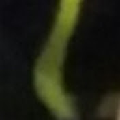 Profile Picture of Damon GARRETT (@damongarrett2136) on Youtube