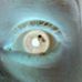 Profile Picture of Danny Arsenault (Frank) (@dan.arsenault.54) on Facebook