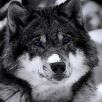 shaun stanley - Instagram Profile Picture of shaun stanley (@shaunstanley2) on Instagram