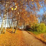 Profile Picture of Jonathan (@jonathankagera9) on Instagram