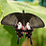 Profile Picture of Jenette Armstrong (nee' Scott) (@j.arm68) on Flickr