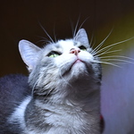 Jose Antonio  De La Fuente - Flickr Profile Picture of Jose Antonio  De La Fuente (@jaf_69) on Flickr