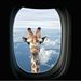 Profile Picture of Asmaa Mohamed (@soso10309) on Pinterest