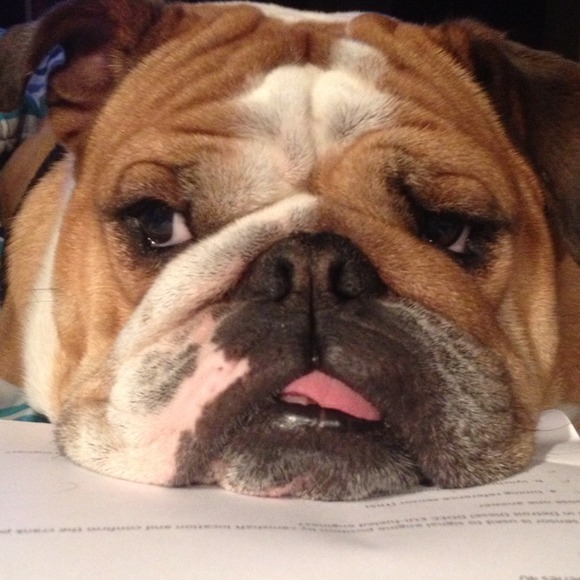 Profile Picture of Colleen Selvera (@selvera) on Poshmark