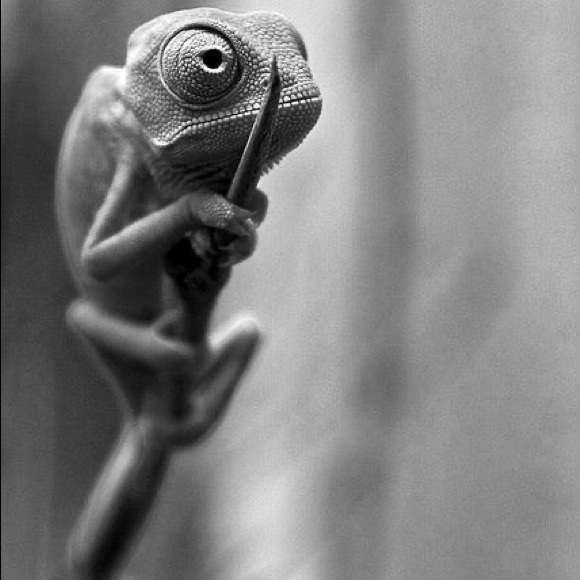 Profile Picture of Paul Ehrsam (@paulwe2704) on Poshmark