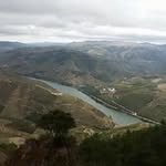 Profile Picture of David Capela (@capela.david) on Instagram