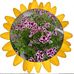 Profile Picture of Linda Soderstrom (@linda.soderstrom.9699) on Facebook