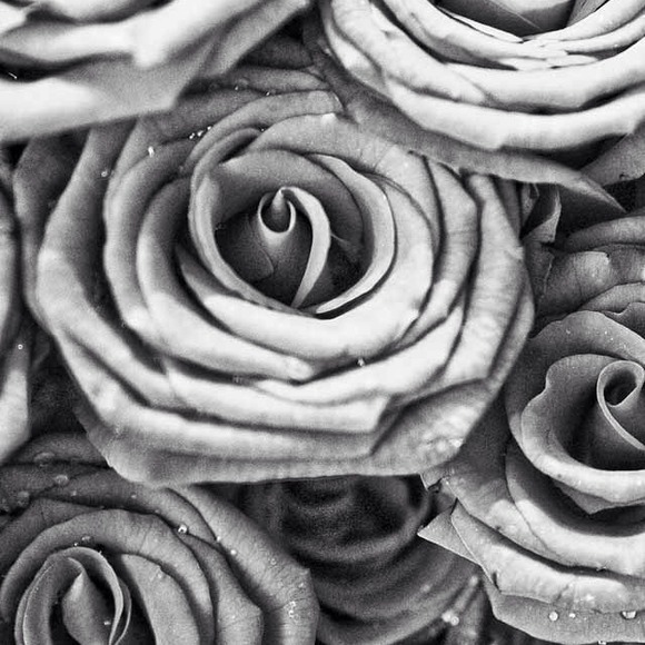 Madison Vickery - Poshmark Profile Picture of Madison Vickery (@mdv19) on Poshmark