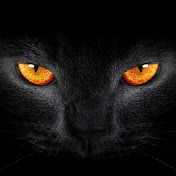 Profile Picture of Luke Lau (@lukelau8768) on Youtube