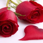 Profile Picture of Crystal Acosta (@crystal_starbucks_4life) on Instagram