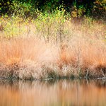 Matthew Boals - Instagram Profile Picture of Matthew Boals (@aviliger) on Instagram