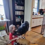 Profile Picture of Michael Ducat (@Michael-Ducat) on Facebook