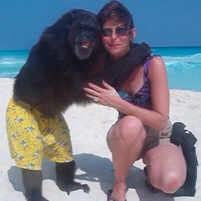 Profile Picture of Dawn Settle (@ADSettle) on Twitter