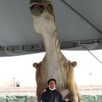 Profile Picture of Alex Donato (@alex.donato.133064) on Facebook