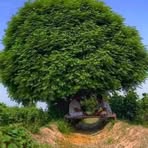 Profile Picture of Shafiq Jaan (@shafiq.jaan.723368) on Facebook