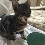 Profile Picture of Mary Stack (@stack9908) on Instagram