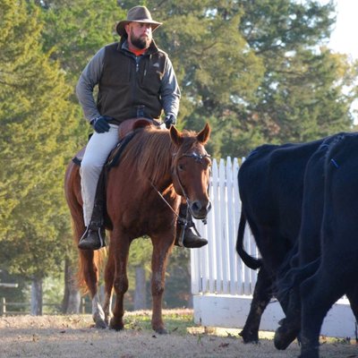 Profile Picture of Matt Backus (@matbackus) on Twitter