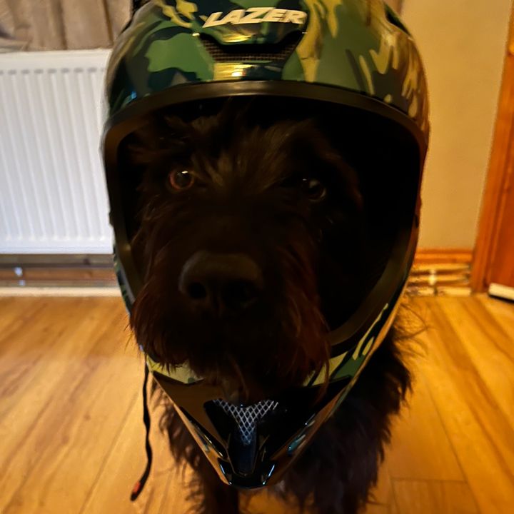 Profile Picture of Cody (@codybrad55) on Tiktok