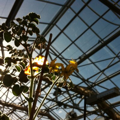 Michael Dorrity - Twitter Profile Picture of Michael Dorrity (@narrowsense) on Twitter