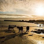 Profile Picture of Patrick Sean finnerty (@paddyfinn1) on Instagram