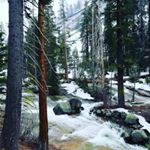 ad Zodane - Instagram Profile Picture of ad Zodane (@adzodane) on Instagram