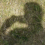 Profile Picture of rislerasle (@rislerasle) on Flickr