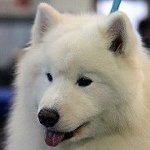 Lori Kremsreiter Garza - Instagram Profile Picture of Lori Kremsreiter Garza (@samkist2) on Instagram