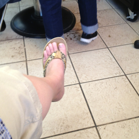 Profile Picture of Janet Dolecki (@mdoll25) on Poshmark