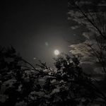 Profile Picture of Jacob Miranda (@jimtheicemonster) on Instagram