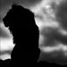 Profile Picture of Jason Bowdry (@jasonbowdry) on Pinterest