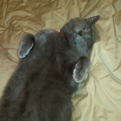 Profile Picture of Steven Hoffa (@steven19512) on Twitter