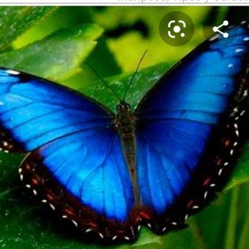 Maria Isabel Soriano - Twitter Profile Picture of Maria Isabel Soriano (@mariaisabelsor2) on Twitter